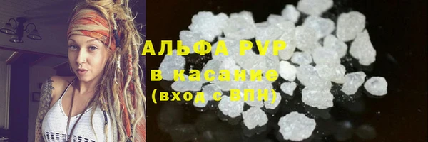 PSILOCYBIN Богданович